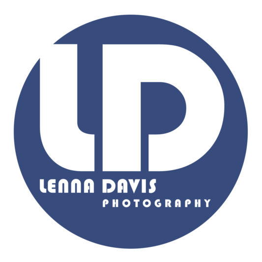 LD Logo Pastell Blue